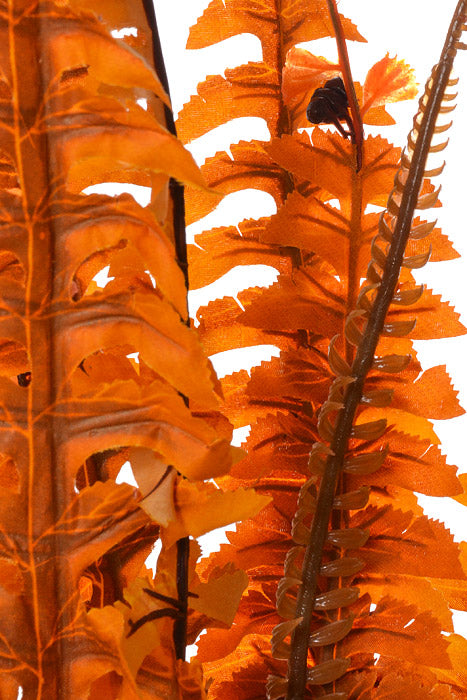 23.75" Fern Bush (Orange)