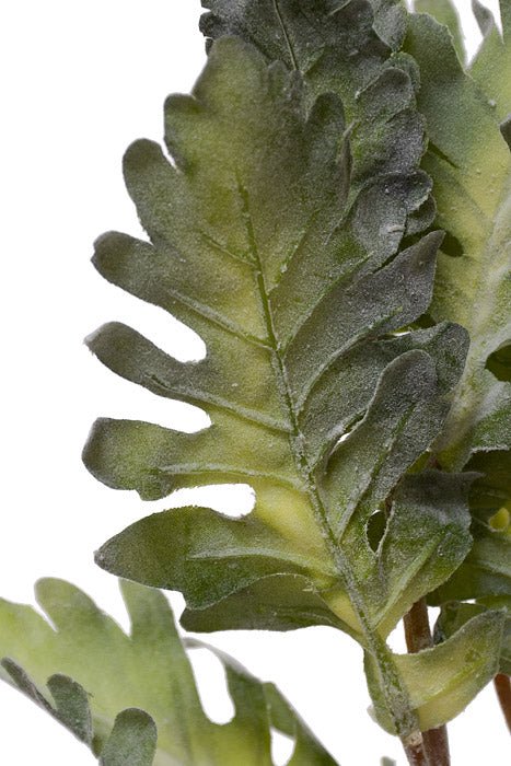 30" Dusty Miller Spray Green