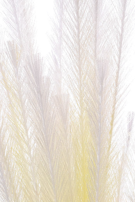 29.5" Pampa Grass Spray (Ivory)