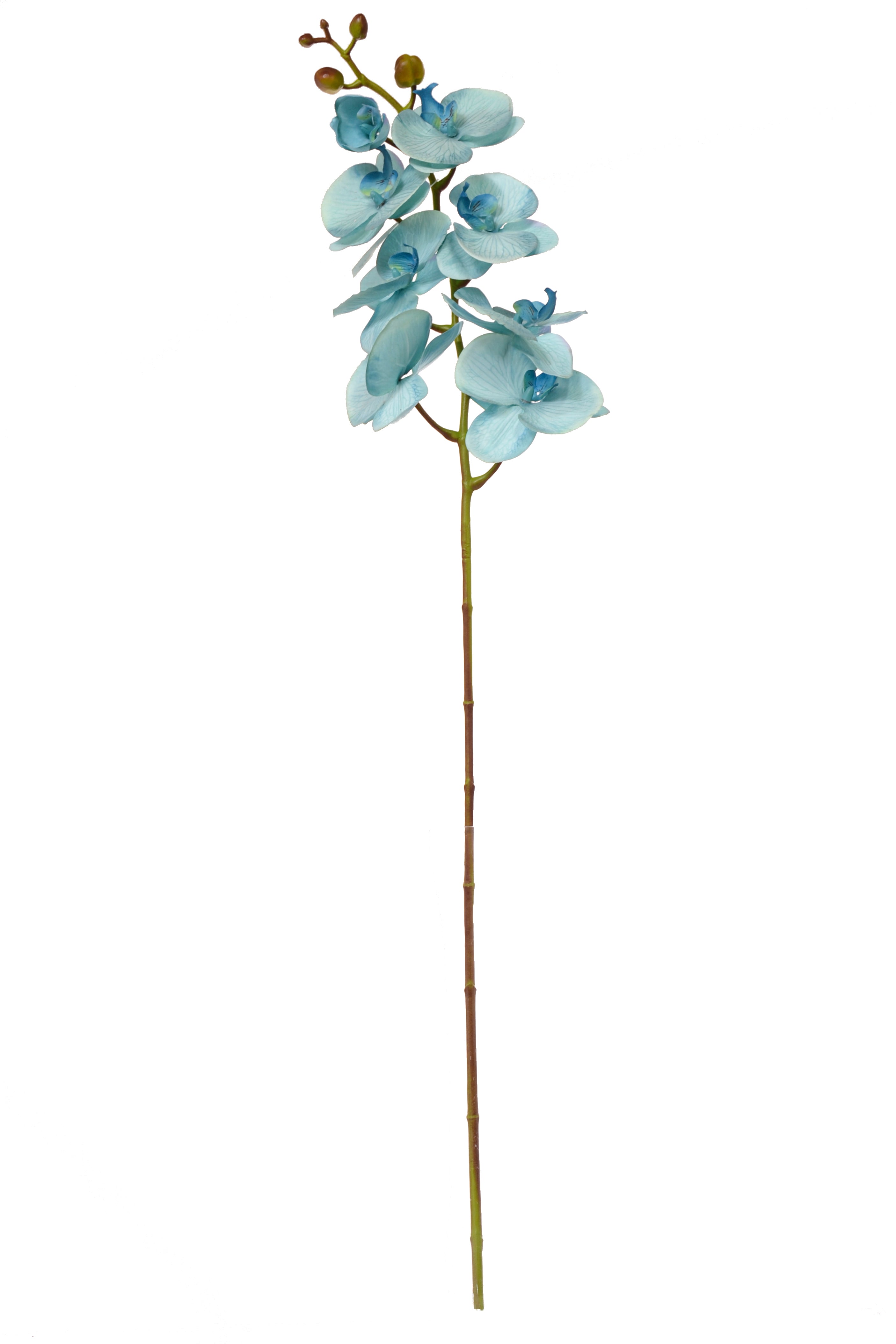 40" Silk Phalaenopsis Spray Blue