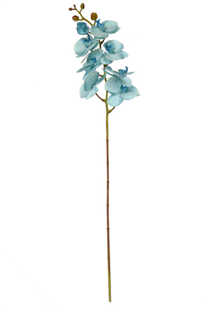 40" Silk Phalaenopsis Spray Blue