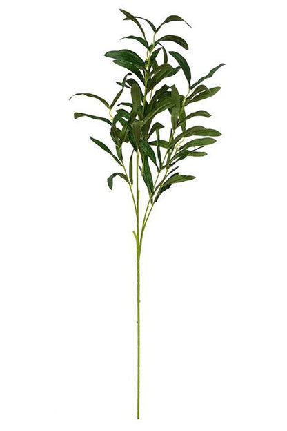 35" Olive Spray Green