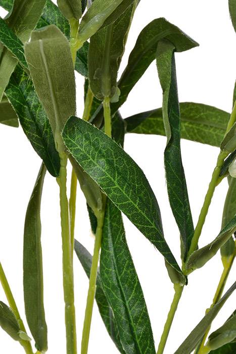 35" Olive Spray Green