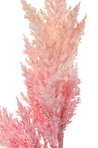 31.5" Pampas Grass Spray Pink