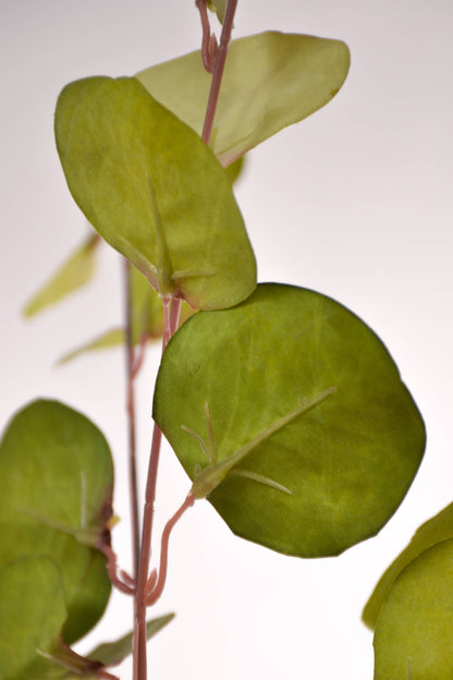 33" Eucalyptus Spray Green