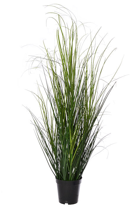 39" Grass Bush In Pot Green Two Tones