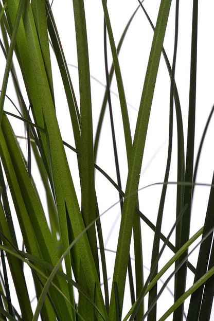 39" Grass Bush In Pot Green Two Tones