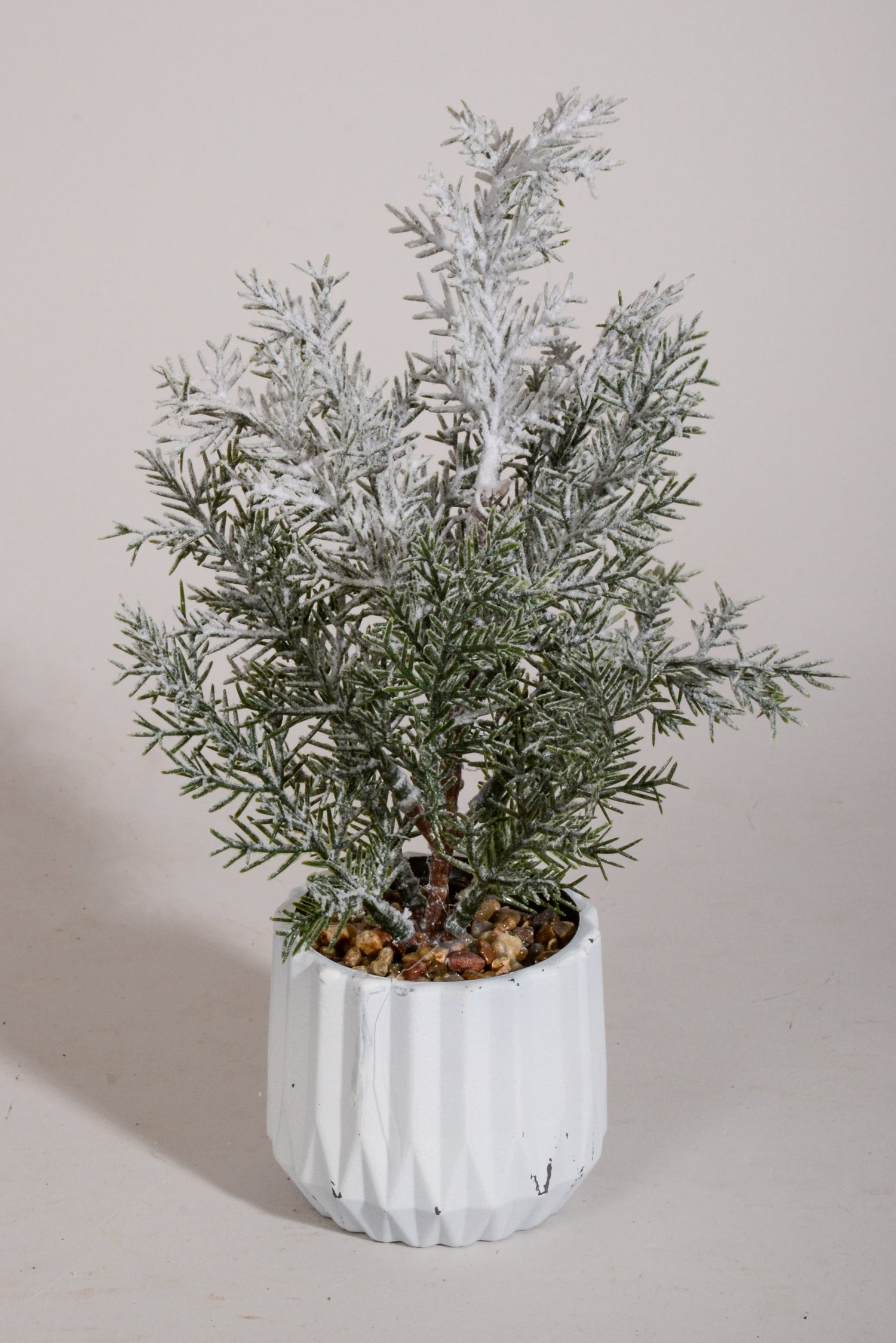 11" Snow Pine with Pot White/Green
