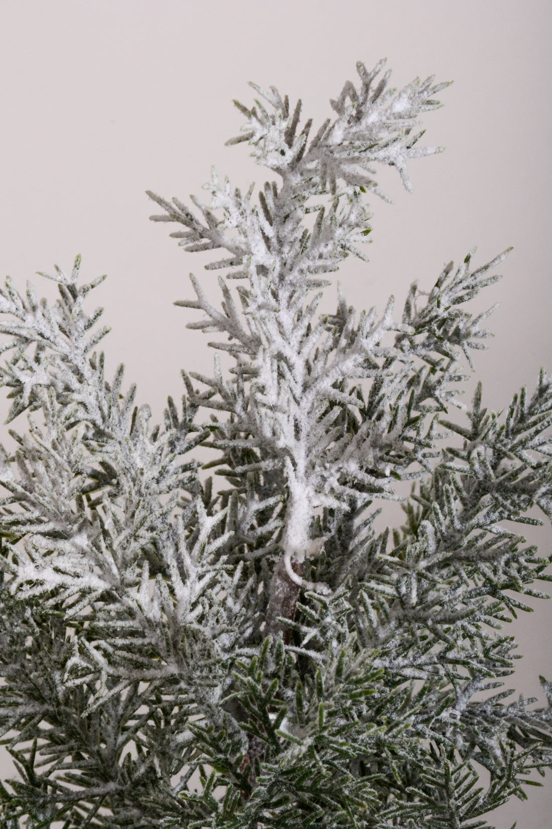 11" Snow Pine with Pot White/Green