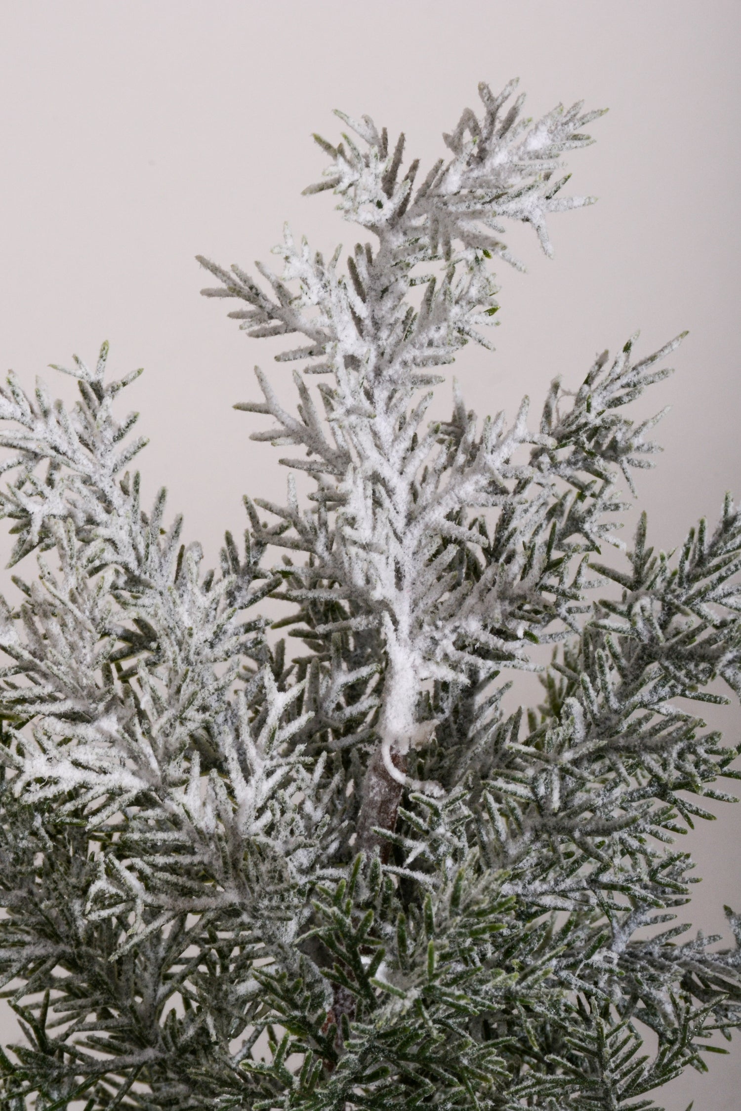 11" Snow Pine with Pot White/Green