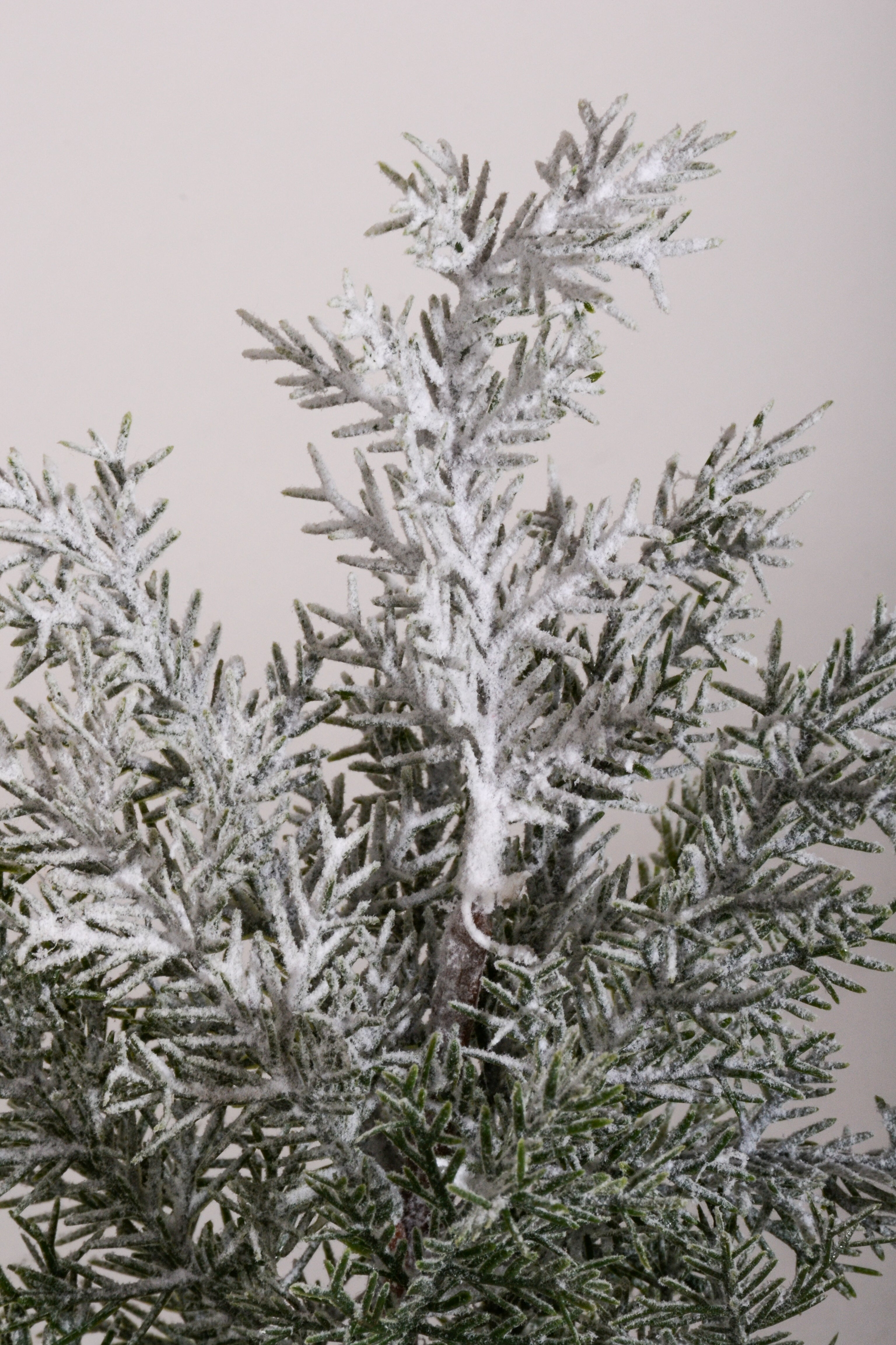 11" Snow Pine with Pot White/Green