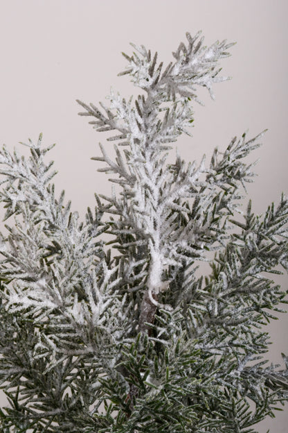 11" Snow Pine with Pot White/Green