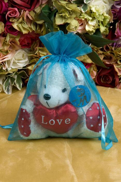 8" X 10" Organza Bag Turquoise Pkg/12