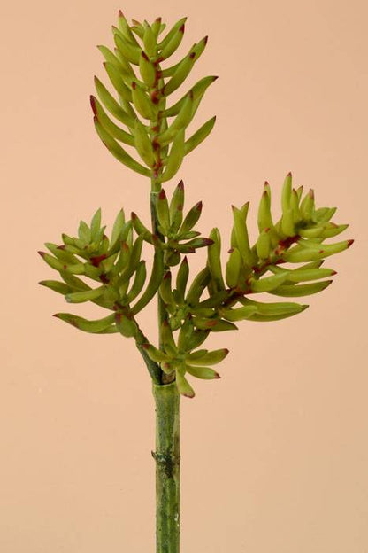 11" Artificial Sedum Pick Green/burgundy