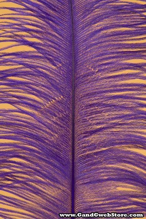 12&quot;-14&quot; Ostrich Feather Purple Pkg/12