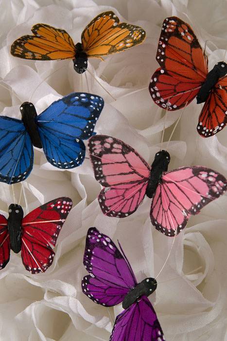 2&quot; Butterfly Assorted Pkg/12