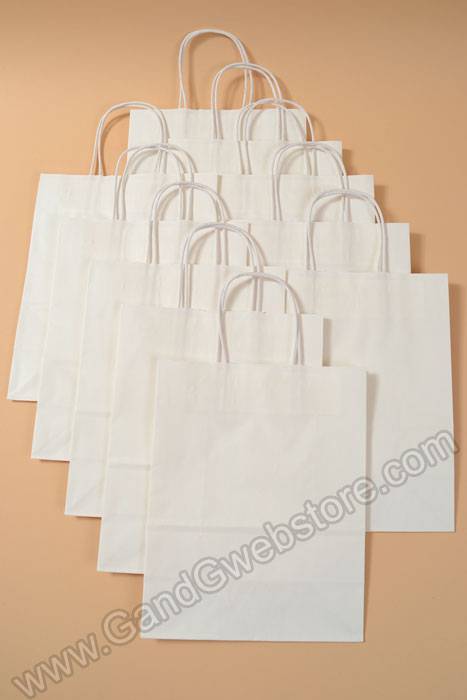 10" X 5" X 13" Debbie Kraft Shopping Bag White Pkg/10