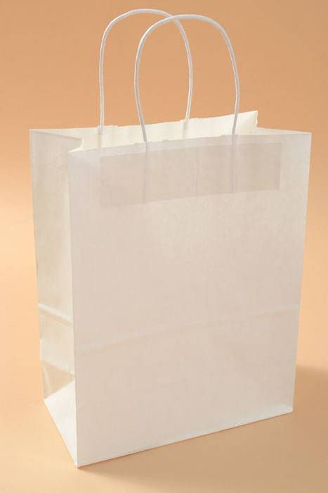 10" X 5" X 13" Debbie Kraft Shopping Bag White Pkg/10