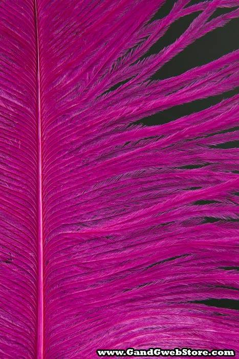 12&quot;-14&quot; Ostrich Feather Hot Pink Pkg/12