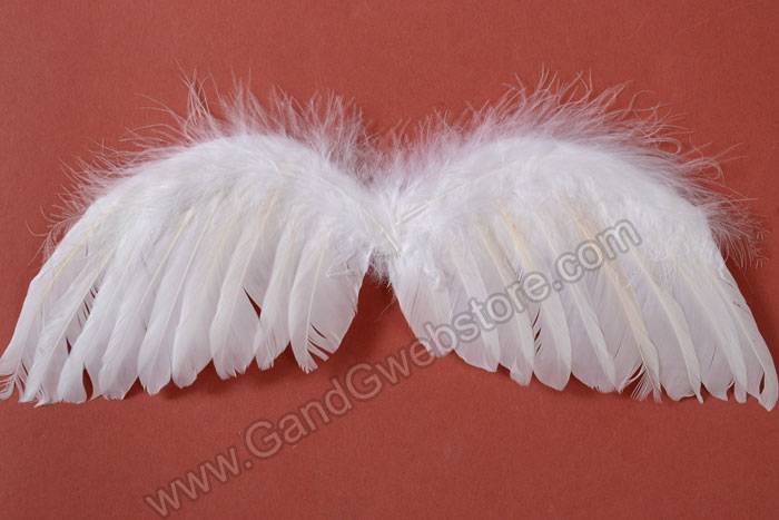 11&quot; X 3.5&quot; Angel Wings White Pkg/12