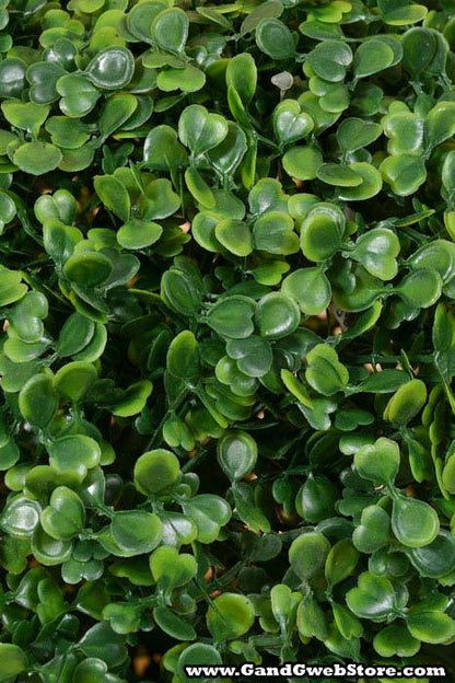 18" Boxwood Ball Green