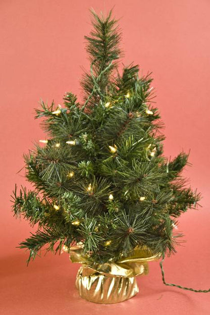 2ft Lit Canyon Tree W/50 Lights Green