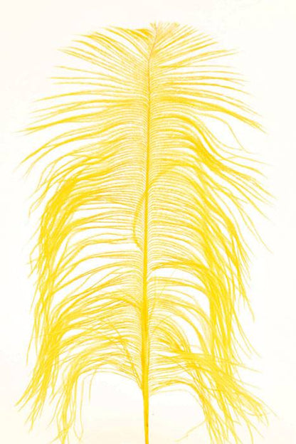 12"-14" Ostrich Feather Yellow Pkg/12