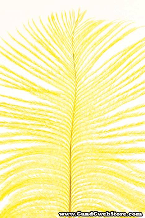 12"-14" Ostrich Feather Yellow Pkg/12