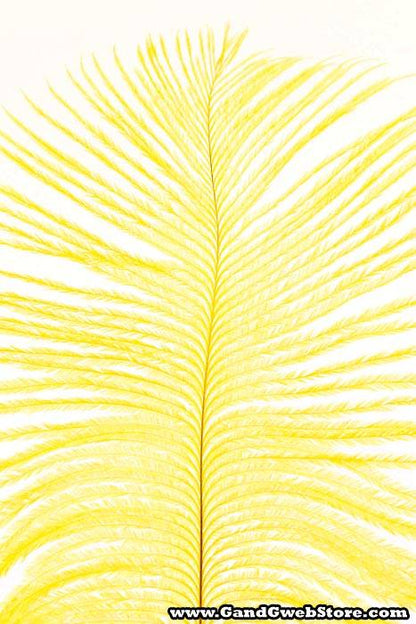 12"-14" Ostrich Feather Yellow Pkg/12