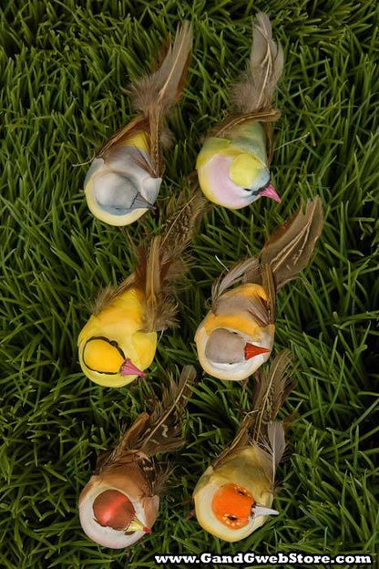 3.5" Feather Bird Assort Pkg/12