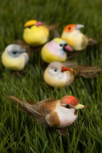 3.5" Feather Bird Assort Pkg/12