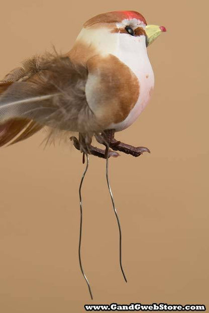 3.5" Feather Bird Assort Pkg/12