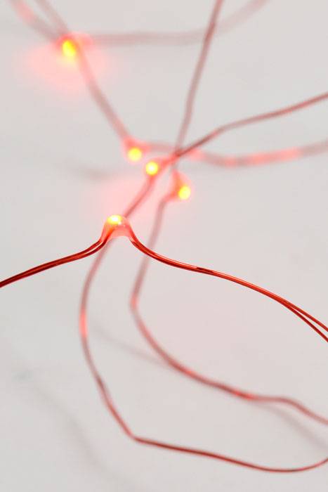 6ft 20-head Led Light Water Resistant Red