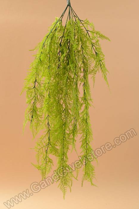 33" Asparagus Fern Hanging (Light Green)
