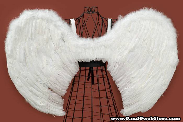 36" X 23" Feather Angel Wings White