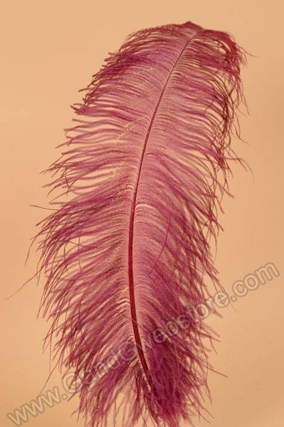 22" - 26" Ostrich Feather Wine Pkg/6