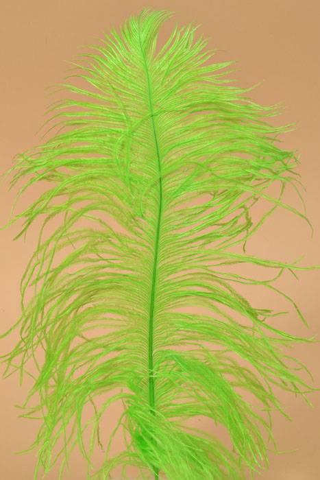 12" - 14" Ostrich Feather Lime Pkg/12