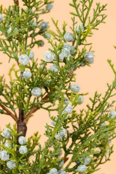 18&quot; Juniper &amp; Berry Spray Green Pkg/3