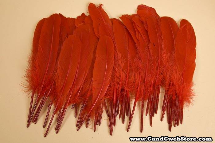 6&quot;- 8&quot; Goose Feather Red Pkg/50