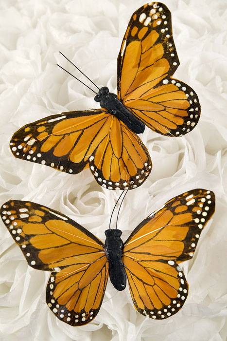 5" Monarch Pkg/12