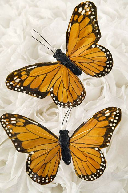 5" Monarch Pkg/12