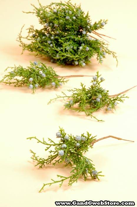 9&quot; Juniper Pick Pkg/12