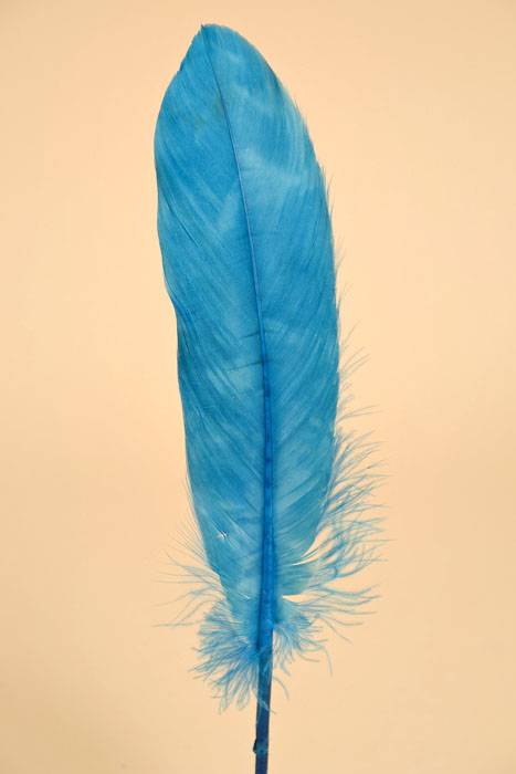 6&quot;- 8&quot; Goose Feather Turquoise Pkg/50
