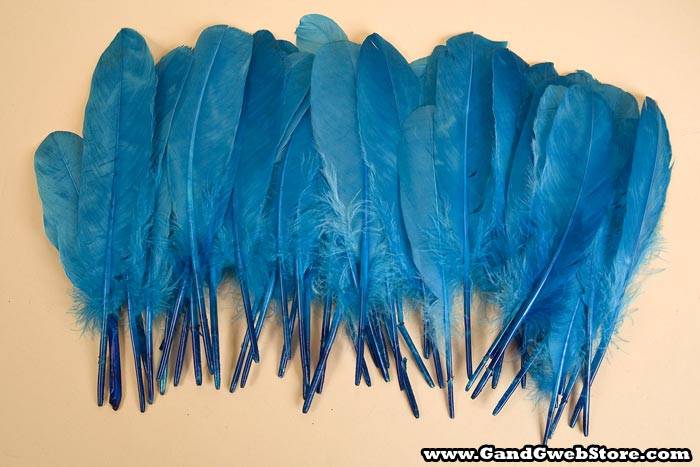 6&quot;- 8&quot; Goose Feather Turquoise Pkg/50
