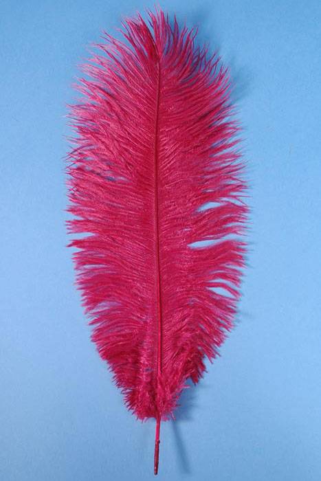 14"-16" Ostrich Feather Wine Pkg/12