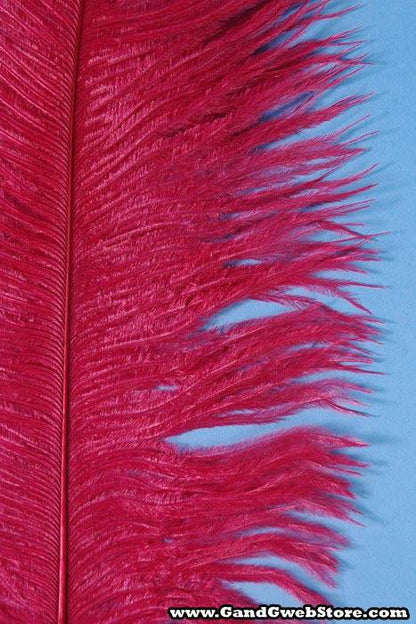14"-16" Ostrich Feather Wine Pkg/12