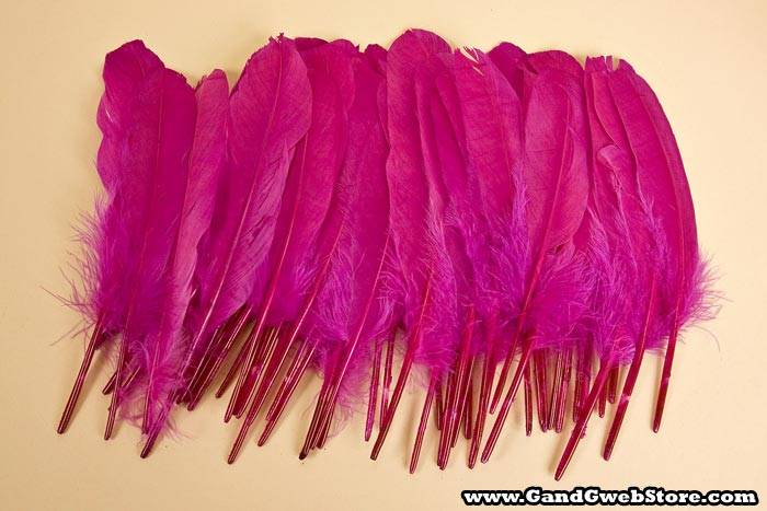6&quot; - 8&quot; Goose Feather Fuchsia Pkg/50
