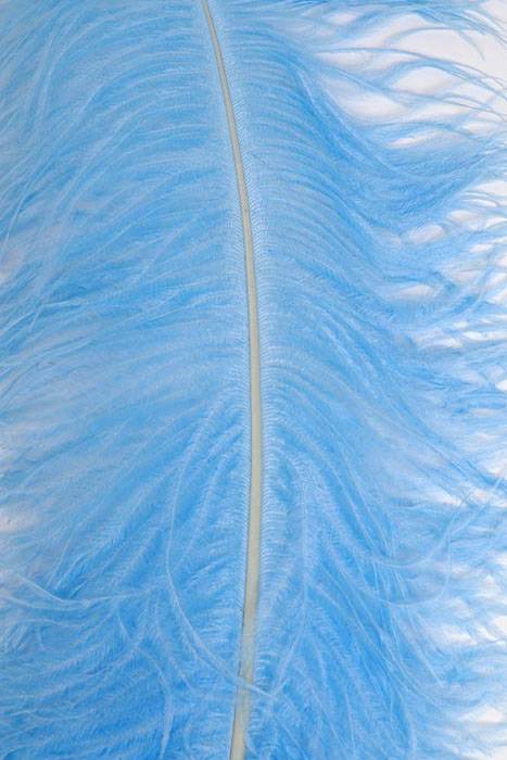 22"-26" Ostrich Feather Light Blue Pkg/6