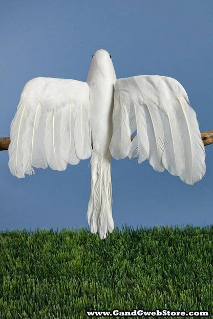 12" Feather/cotton Flying Dove White Pkg/6