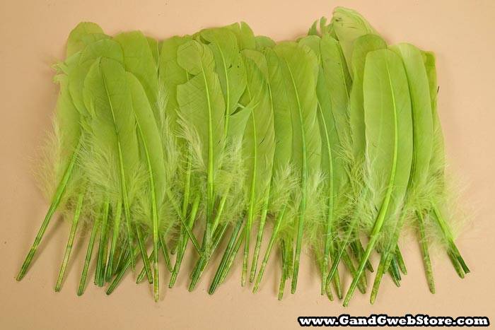 6&quot;- 8&quot; Goose Feather Apple Green Pkg/50